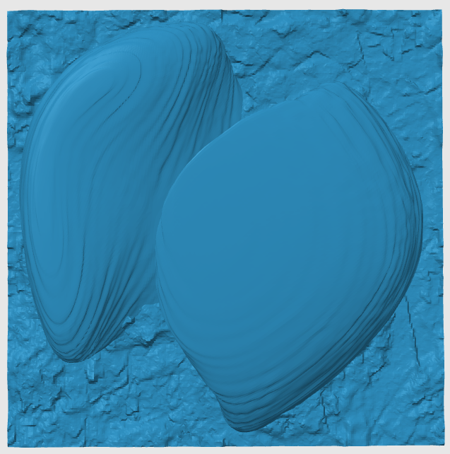 Tile 00005